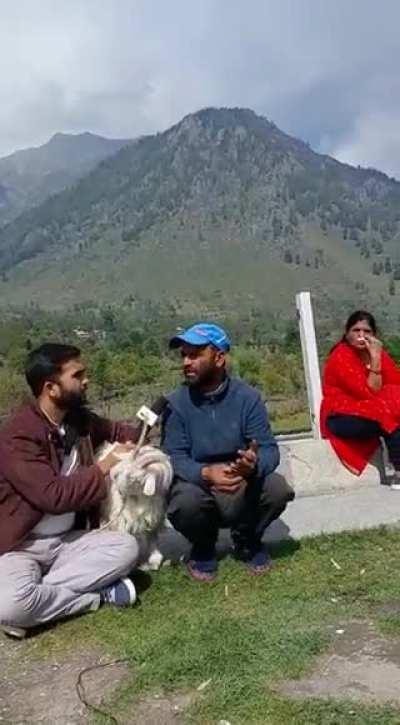 The goat cut the wire in the middle of an interview......