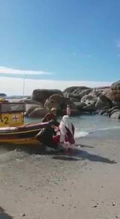 to give Christmas to the island