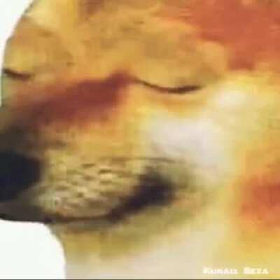 Anime femoid slaps doggo reddit wholesome 100 big changus amogus sus