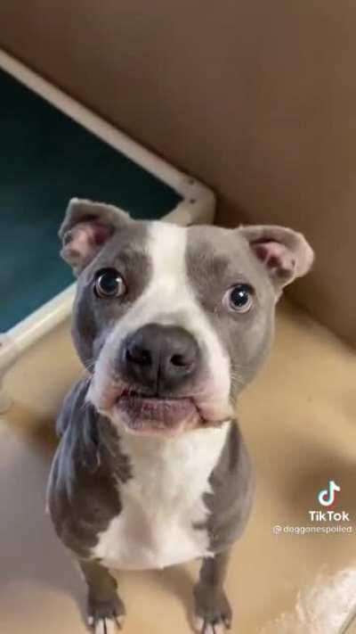 This could be a commercial...