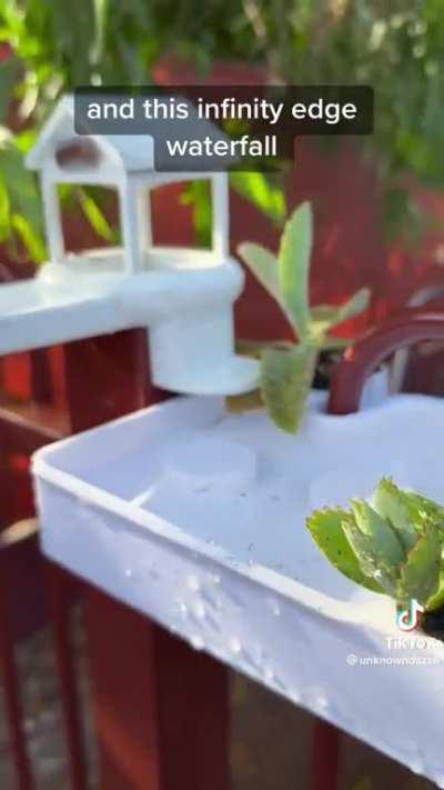 Thanks, I love frogs