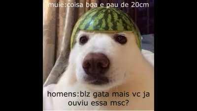 essa msc era muito boa