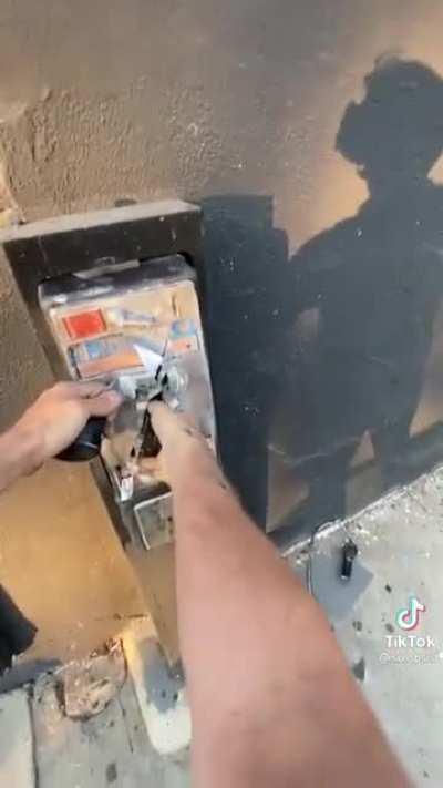 Looks just like its mother