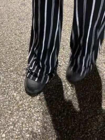 I met a pet raccoon at Meijer at like midnight. I literally had to force myself not to cry. I was near sobbing from happiness.