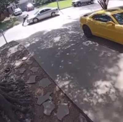 HMFT after I decided to run from a dog