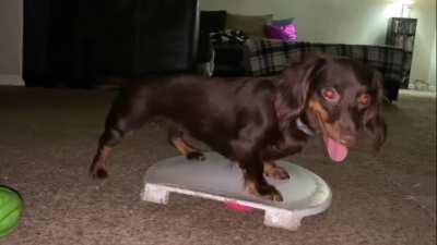 The Burden of Tippy Taps