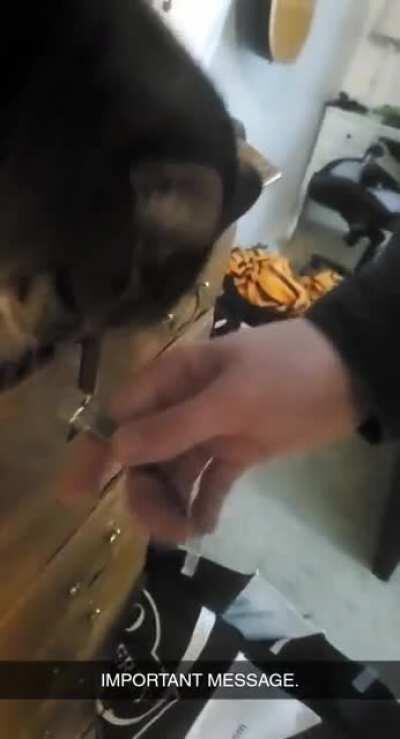 The most important political interview in US history.