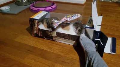 Slap protection required