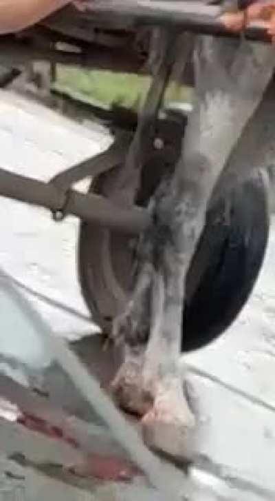 Como quedo el hombre baleado de un escopetazo por el viejo de 70 años en tucuman