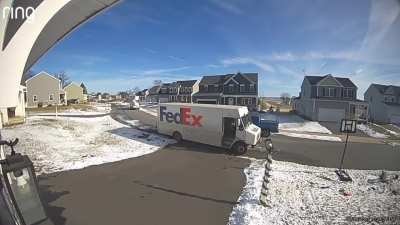 Neglectful dog-owner causes Fed-Ex worker to freak and back-SLAM himself into his own truck. 