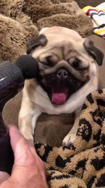 Pewds, please try this on Edgar. Thank you :)
