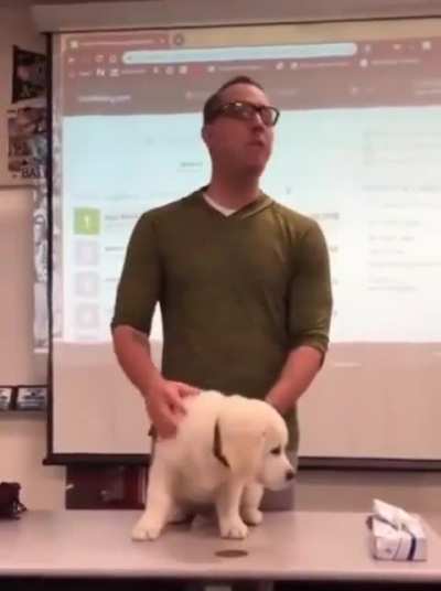 Average English teacher