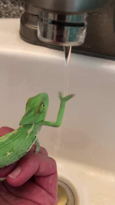 A strange substance...