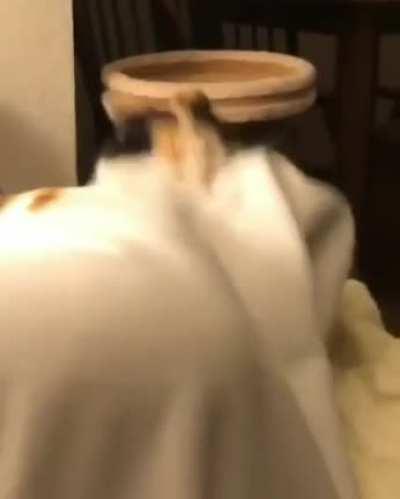 HMK while I attack this guy