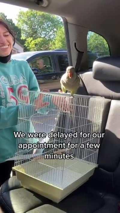 Rescue Quaker laughing at vet visit