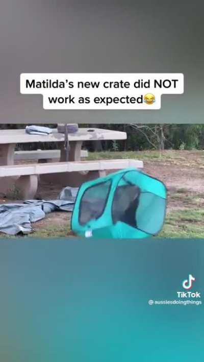 Your puny crates can’t contain me!