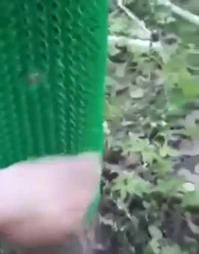 Man builds a scratch spot for the bear in the woods..