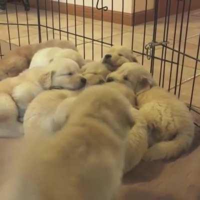 Make way for this one