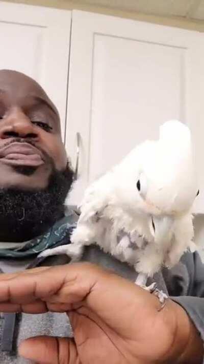 Genenevio had never felt the beat so deeply in his soul! He should have gotten divorced years ago!