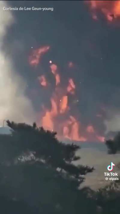 Surprise plane crash in South Korea, Muan 12/29/2024