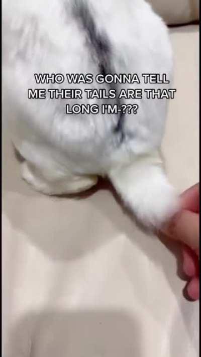 When your life is a lie