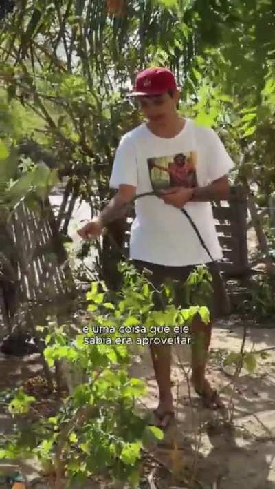 Todo mundo odeia pobre de direita