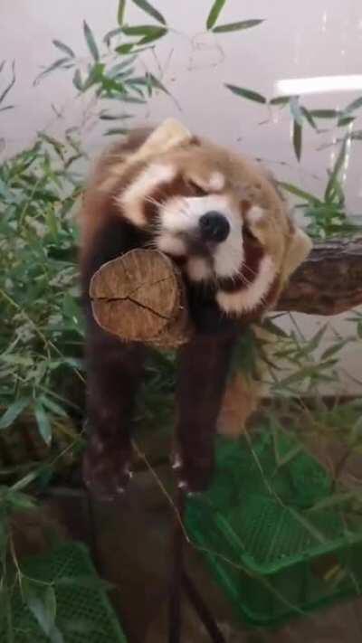 when you're sitting in a meeting that should've been an email