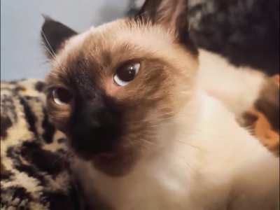 Does anyone know what this means 