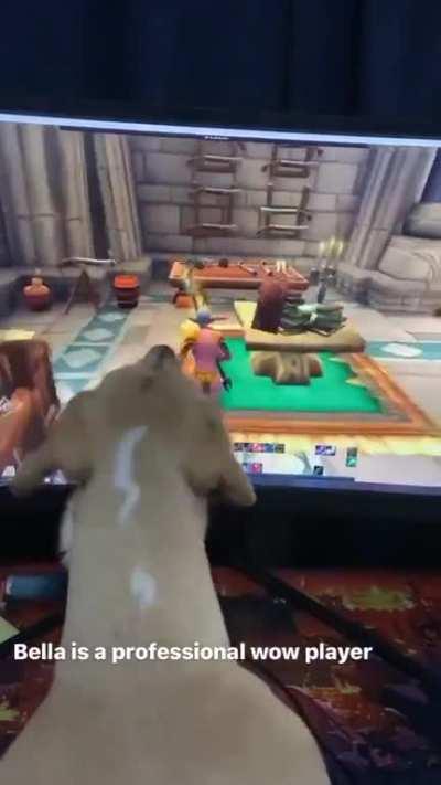 This is why the dps is pulling less than 5% in the mythic