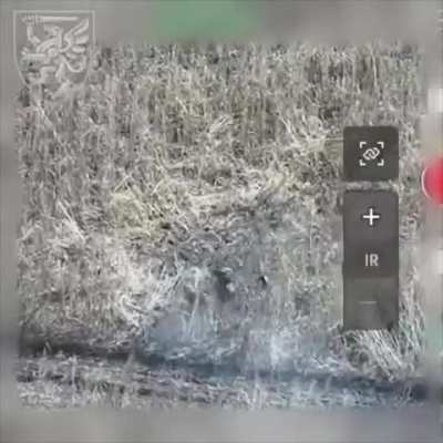 FPV kamikaze drone hits Russian soldier, Sumy region. Targeted soldier later attempts suicide, fails because rifle jammed. Ukraine's 80th Air Assault Brigade, published March 24th 2026.