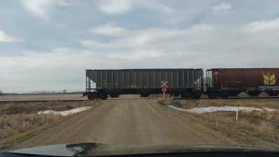 Been sitting at this railway crossing for 15 mins... (Middle of nowhere, Canada)
