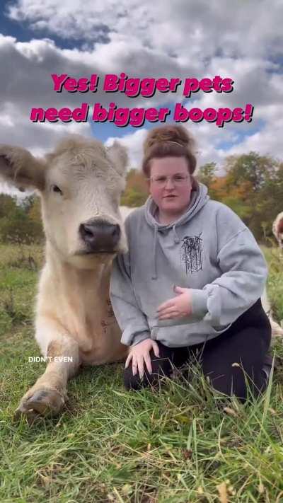 We all need a cow