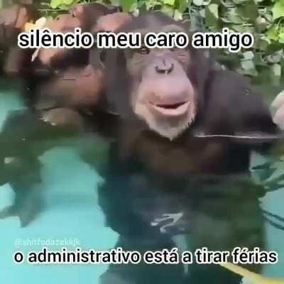 Mucalol curtindo seu dia de ban com o greninja