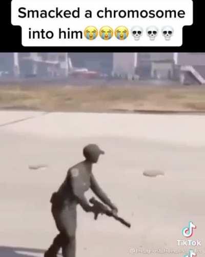 rodentintercourse - Video #9312