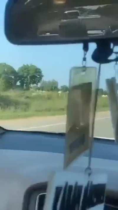 Elon Musk has left the chat.