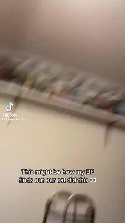 Cat knocks over Lego