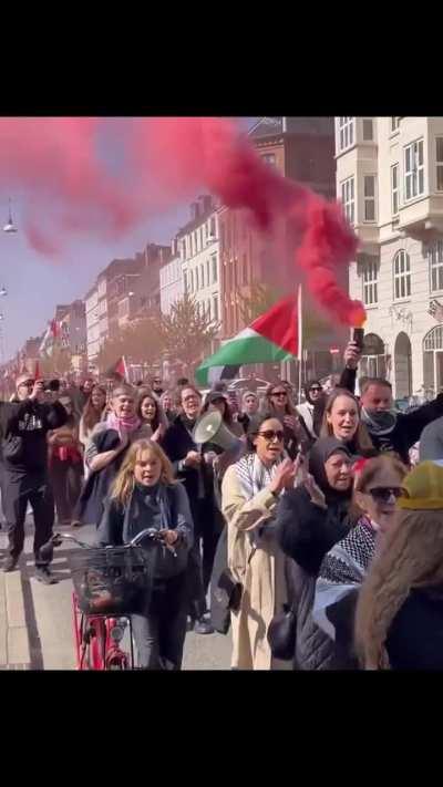 From todays demonstration in Copenhagen Denmark in support of Palestine and Gaza