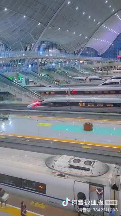 Wuhan Railway Station. The design was inspired by the yellow crane, the symbol of Wuhan City. The distinctive roof is intended to resemble the crane's wings, and is based on a sine curve.