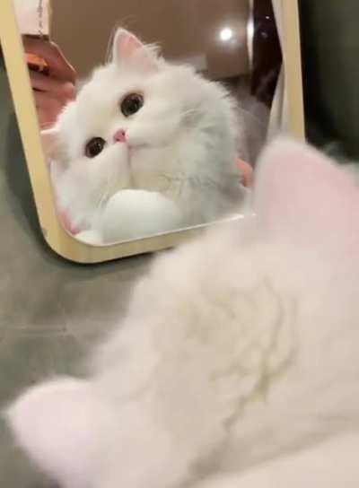 Well, why was I born so beautiful, to the whole world for evil