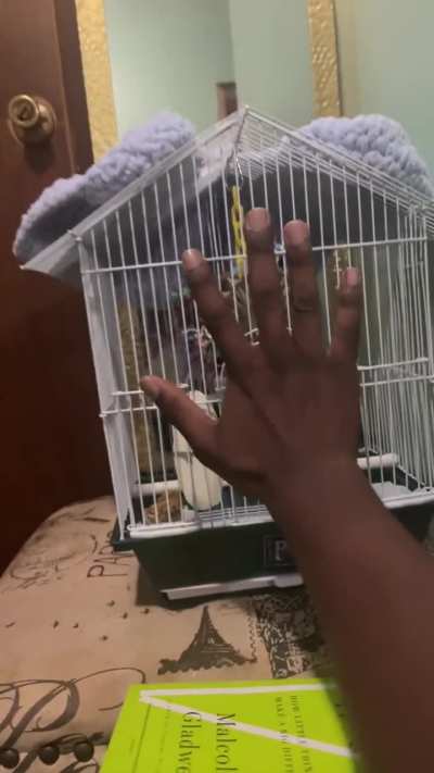 Questions and Concerns