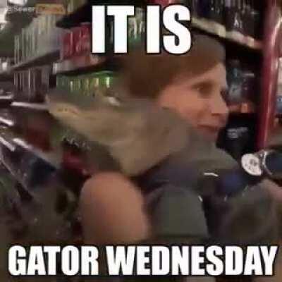 Guys itss finaly here!1!1!!!😱 😎😎🐊🐊