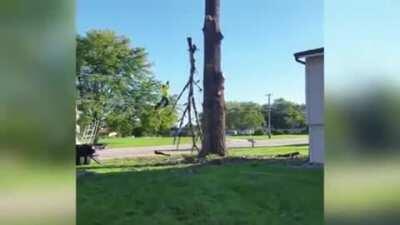 Attaching a rope to a tree