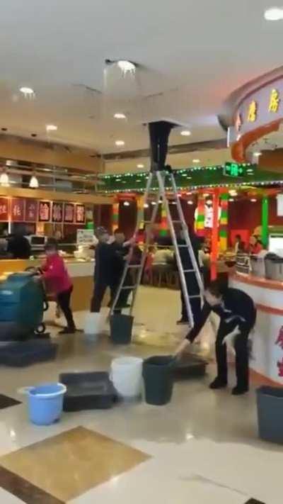 Good thing they had a bucket!