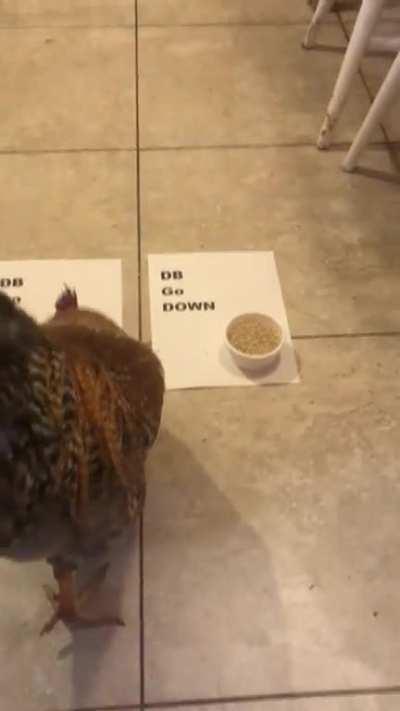 Eggon says “DB go up” ⬆️ 👀