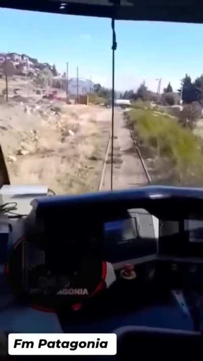 Malvado tren patagonico choca a un pobre camionero!!uno!