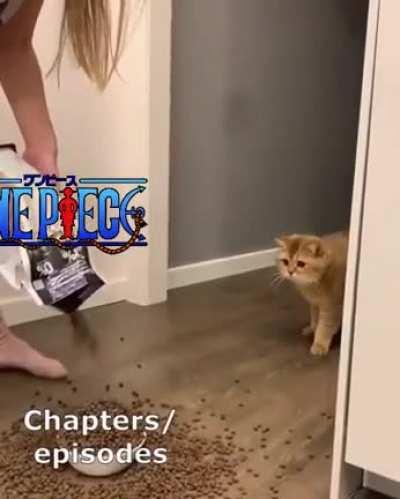 When someone asked how long One Piece is