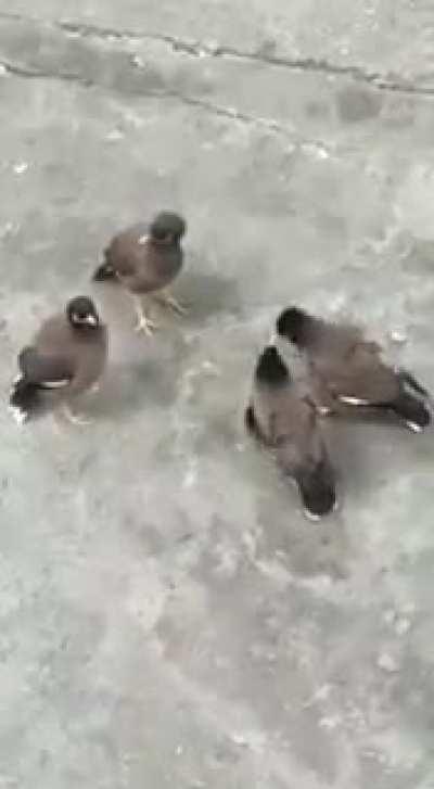 Caught sharing intel on camera...