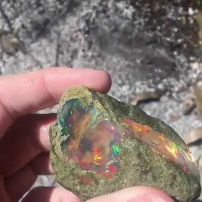 Welo Opal that i got for my 21st finally arrived 🎁🎉