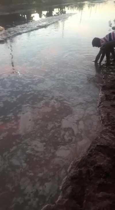 Se le hundió la moto en una calle de tierra cuando iba a laburar [Parte 1]