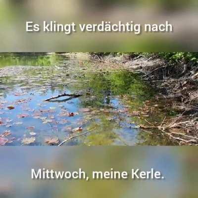 ich_iel